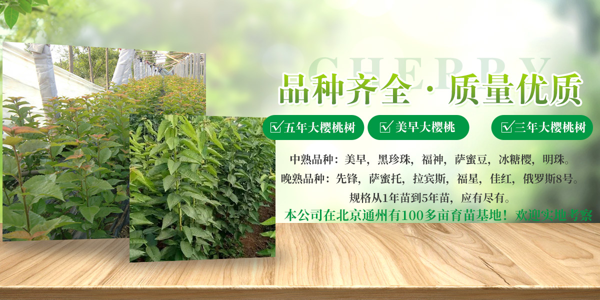 嘉德君電子